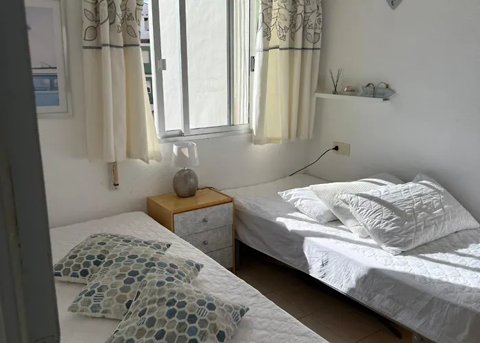 Marazul * 托雷维耶哈